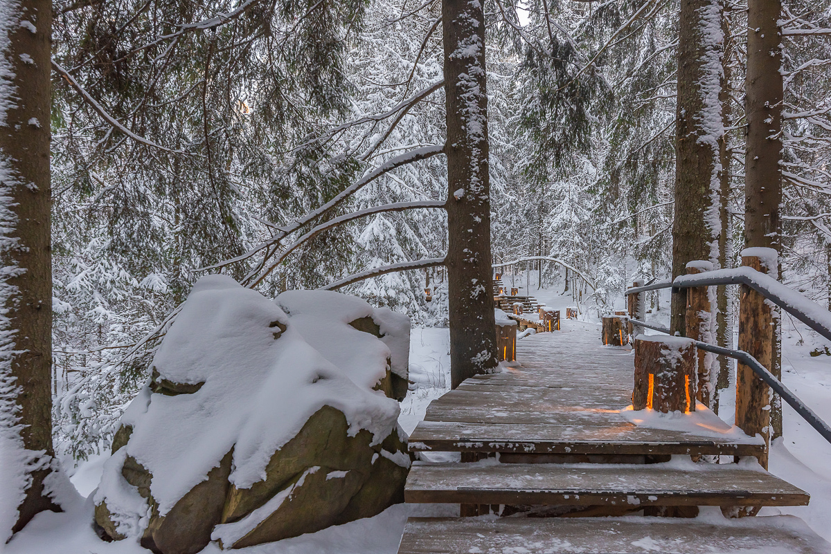 Времена года. Зимняя Карелия с фотографом. Путешествие на другую планету (68/102)