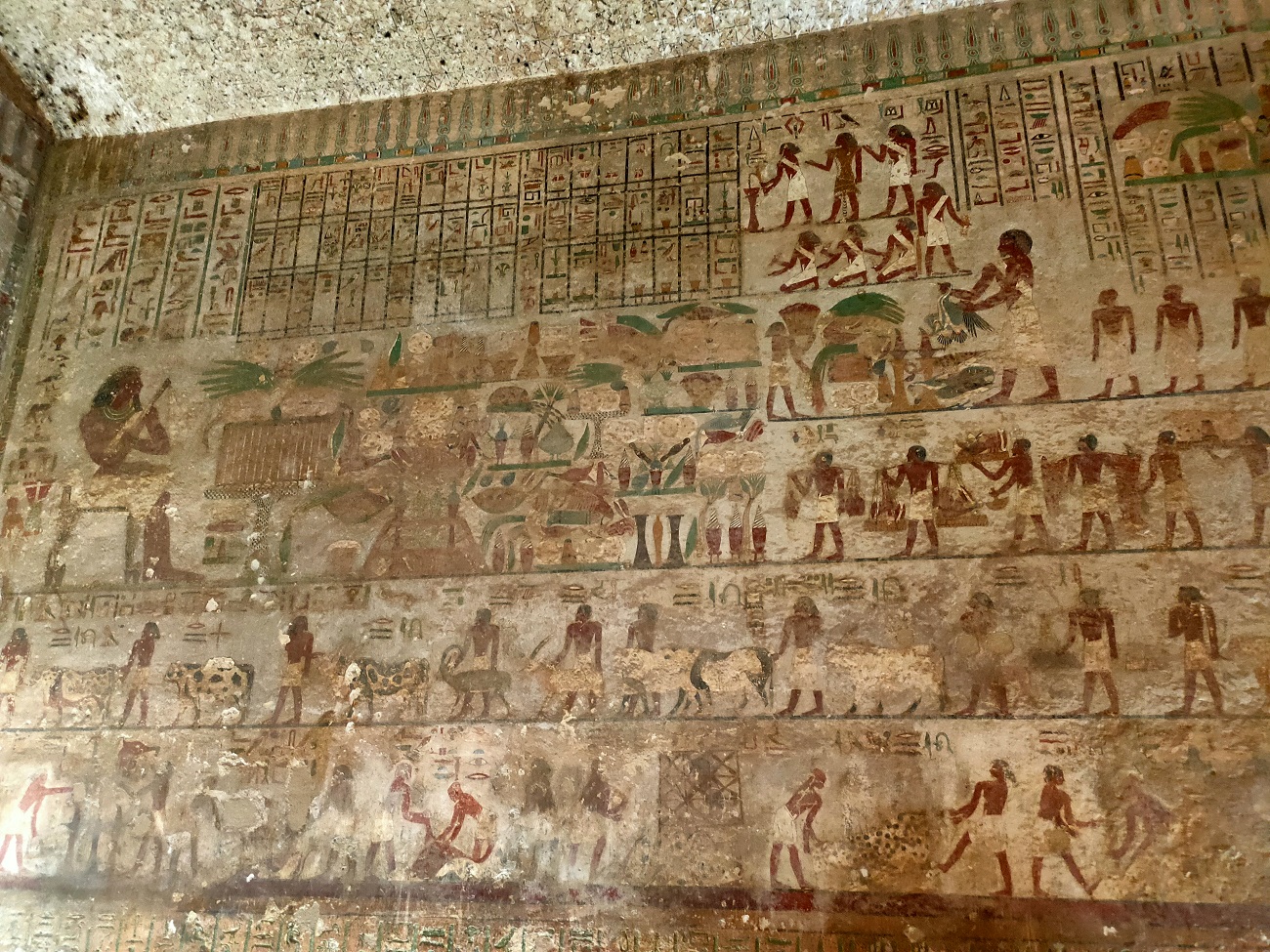 Эль-Минья - жемчужина Верхнего Египта 2 Дня  (от 1 до 3 человек) (7/17)