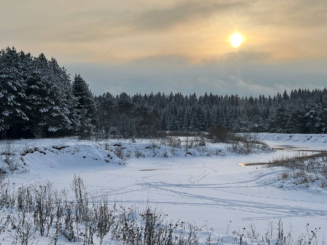 Замытье. Вдоль реки Медведицы на лыжах. (6/26)