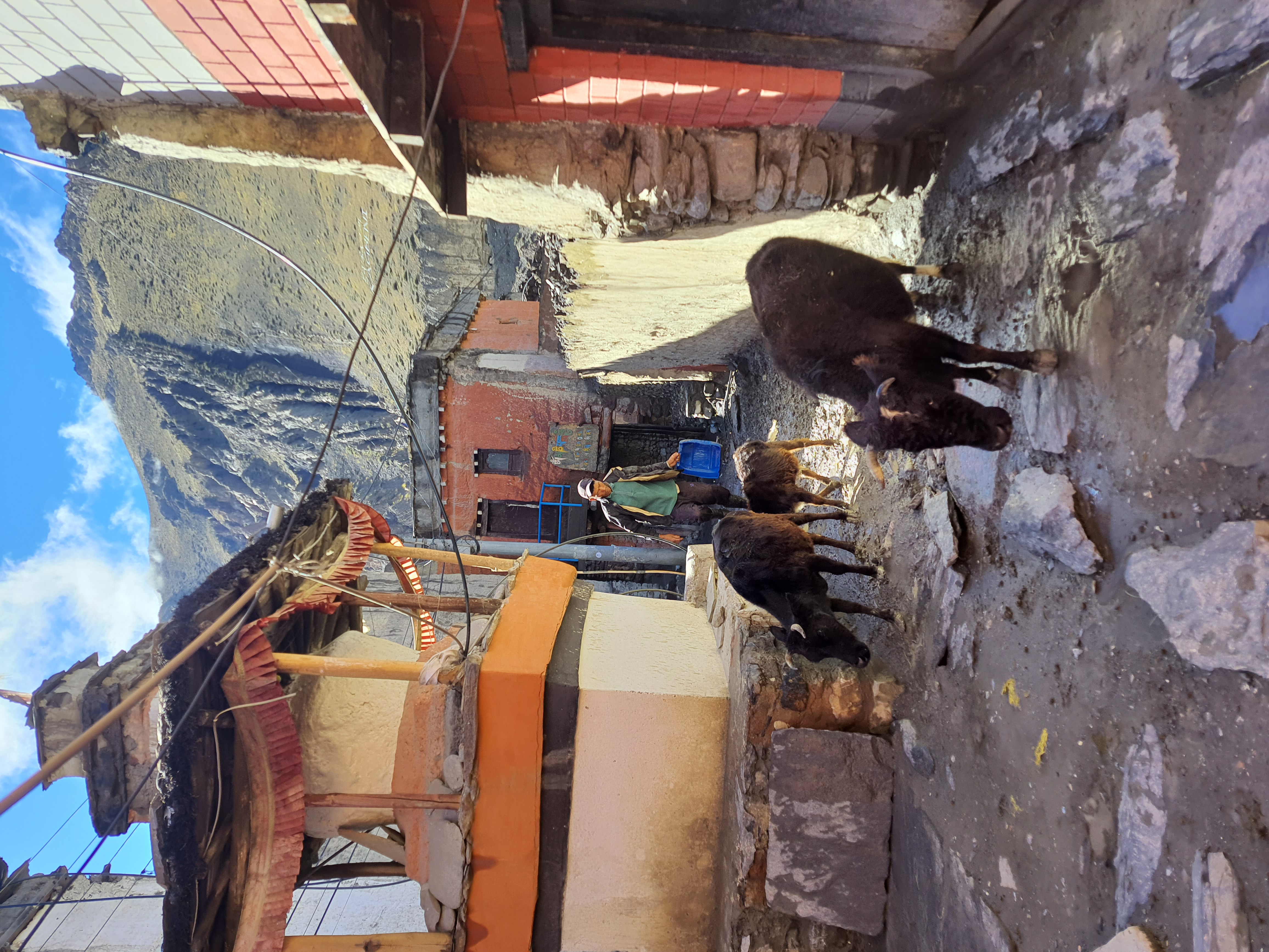 Мустанг: тур-инициация в тайны и магию запретного королевства Ло (16/59)