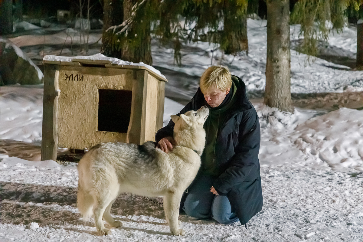 Времена года. Зимняя Карелия с фотографом. Путешествие на другую планету (84/102)