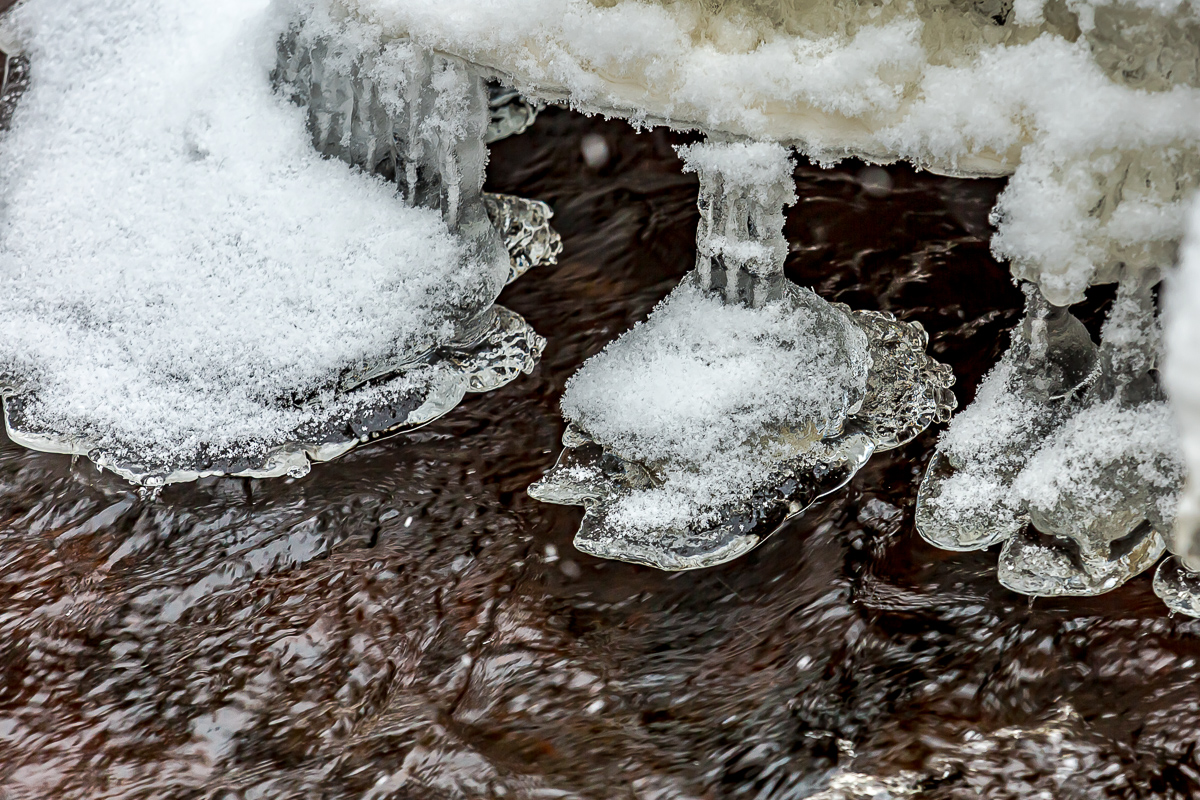 Времена года. Зимняя Карелия с фотографом. Путешествие на другую планету (10/102)