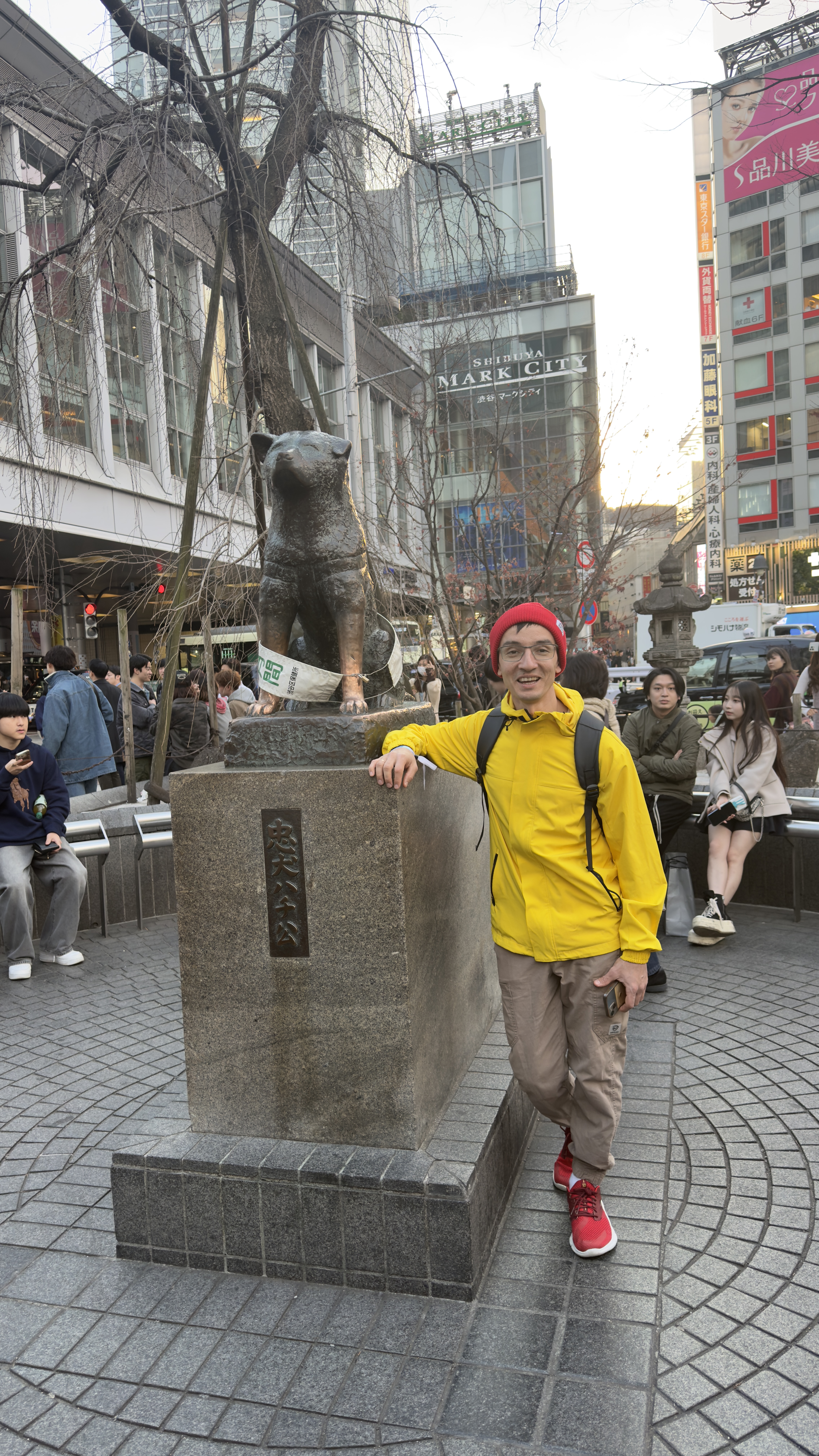 Япония: цветение сакуры (5/17)