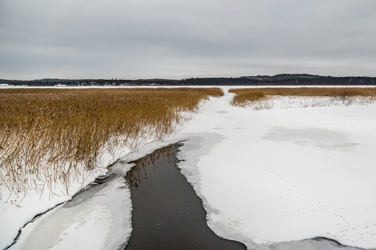 Времена года. Зимняя Карелия с фотографом. Путешествие на другую планету (51/102)