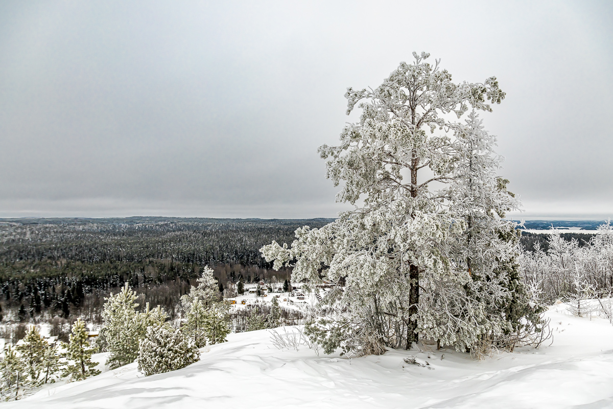 Времена года. Зимняя Карелия с фотографом. Путешествие на другую планету (25/102)