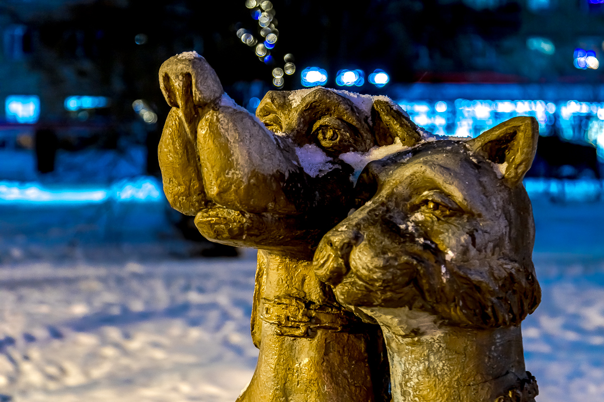 Времена года. Зимняя Карелия с фотографом. Путешествие на другую планету (50/102)