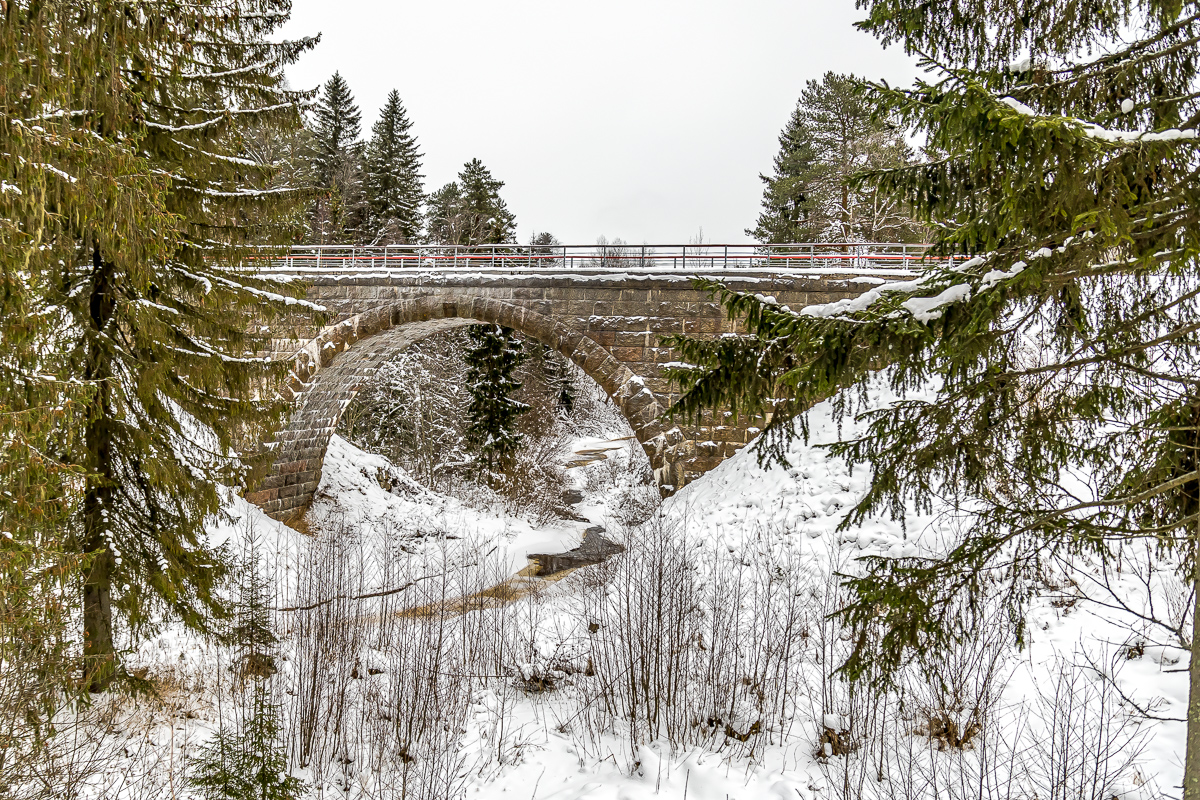 Времена года. Зимняя Карелия с фотографом. Путешествие на другую планету (27/102)