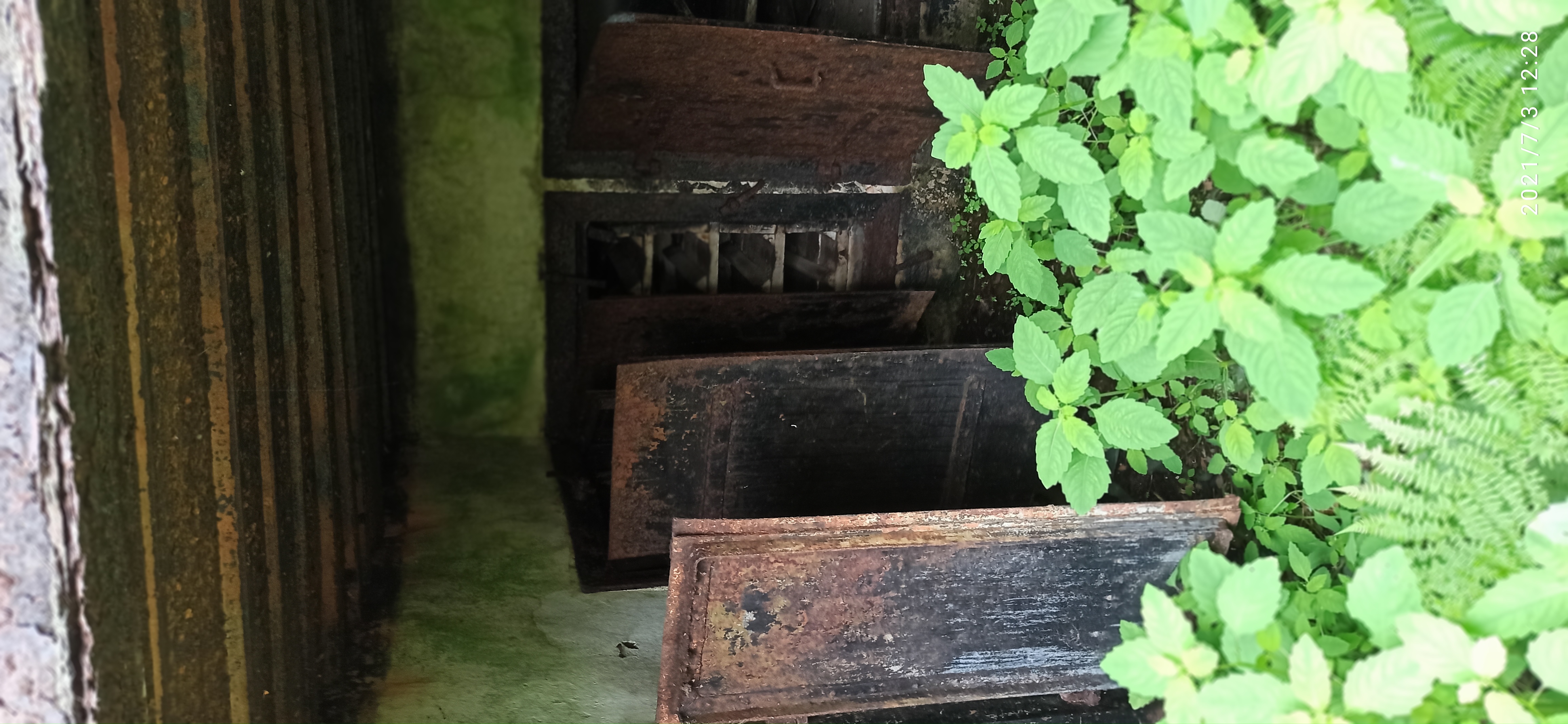 Остров Фуругельма: приморские Мальдивы (7/14)