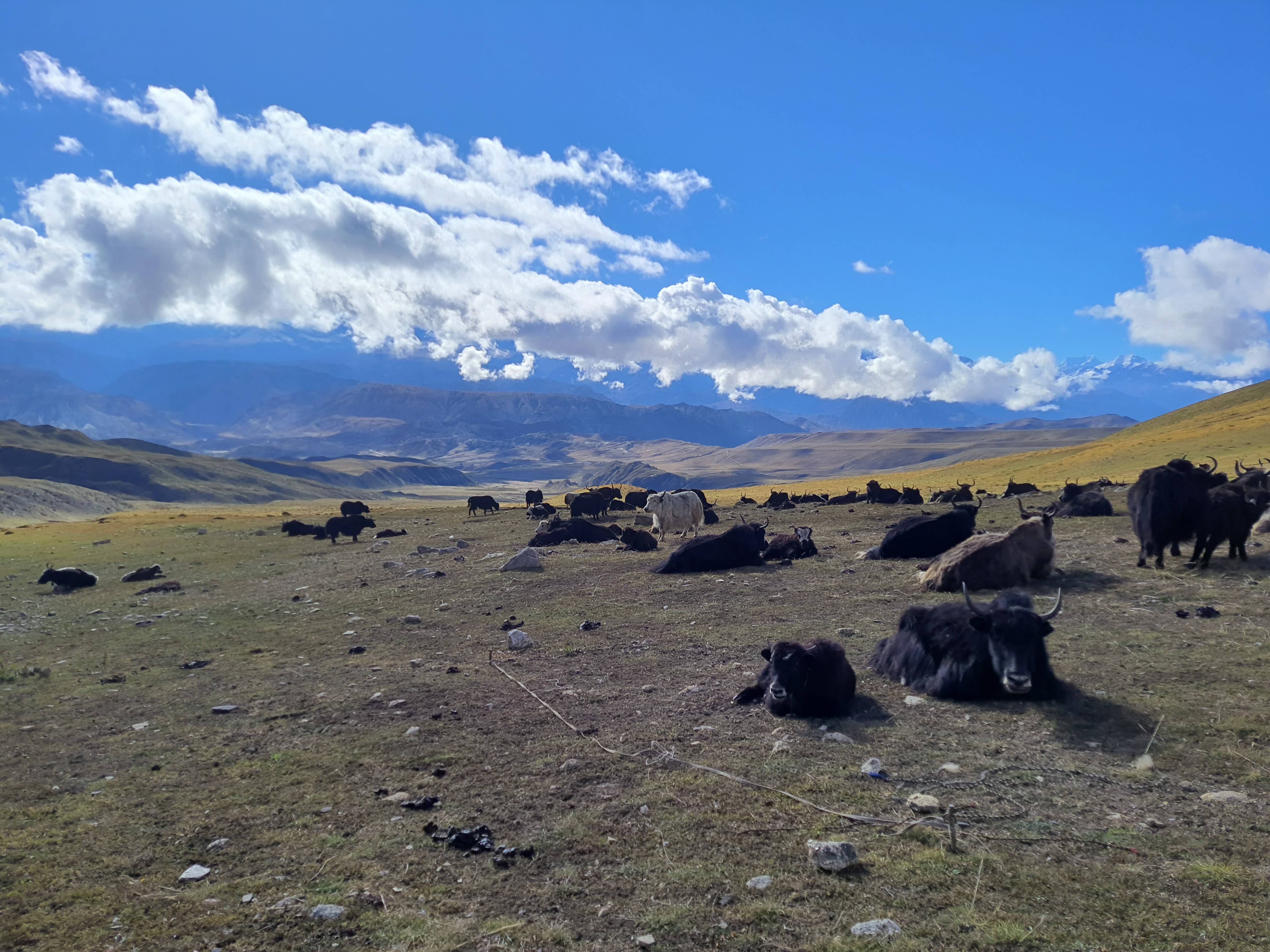Мустанг: тур-инициация в тайны и магию запретного королевства Ло (9/59)