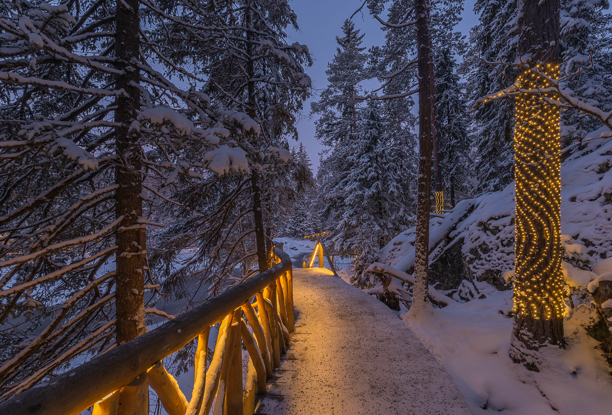 Времена года. Зимняя Карелия с фотографом. Путешествие на другую планету (81/102)