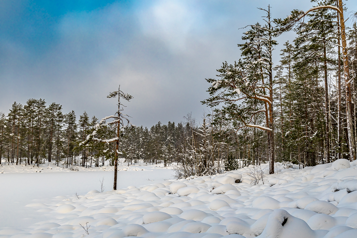 Времена года. Зимняя Карелия с фотографом. Путешествие на другую планету (17/102)