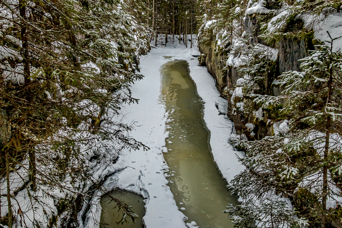 Времена года. Зимняя Карелия с фотографом. Путешествие на другую планету (23/102)
