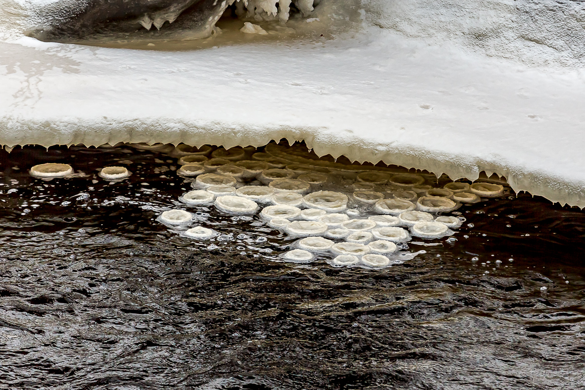 Времена года. Зимняя Карелия с фотографом. Путешествие на другую планету (12/102)