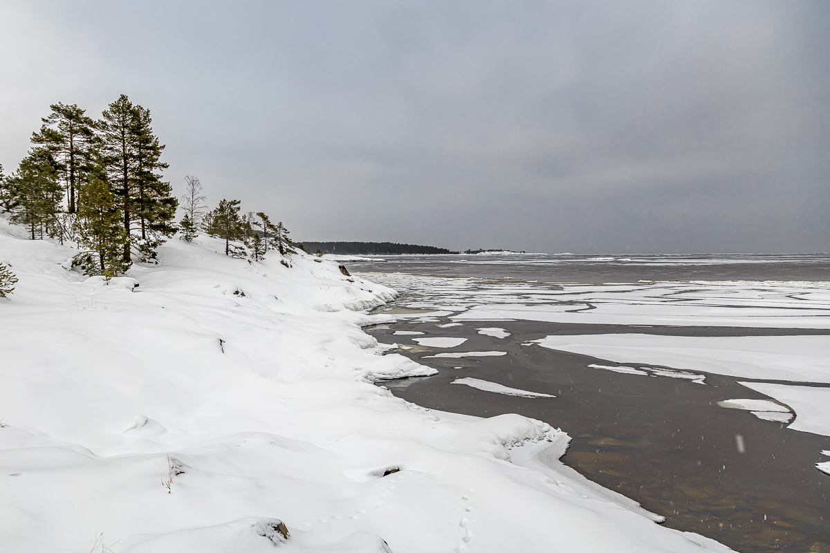 Времена года. Зимняя Карелия с фотографом. Путешествие на другую планету (59/102)
