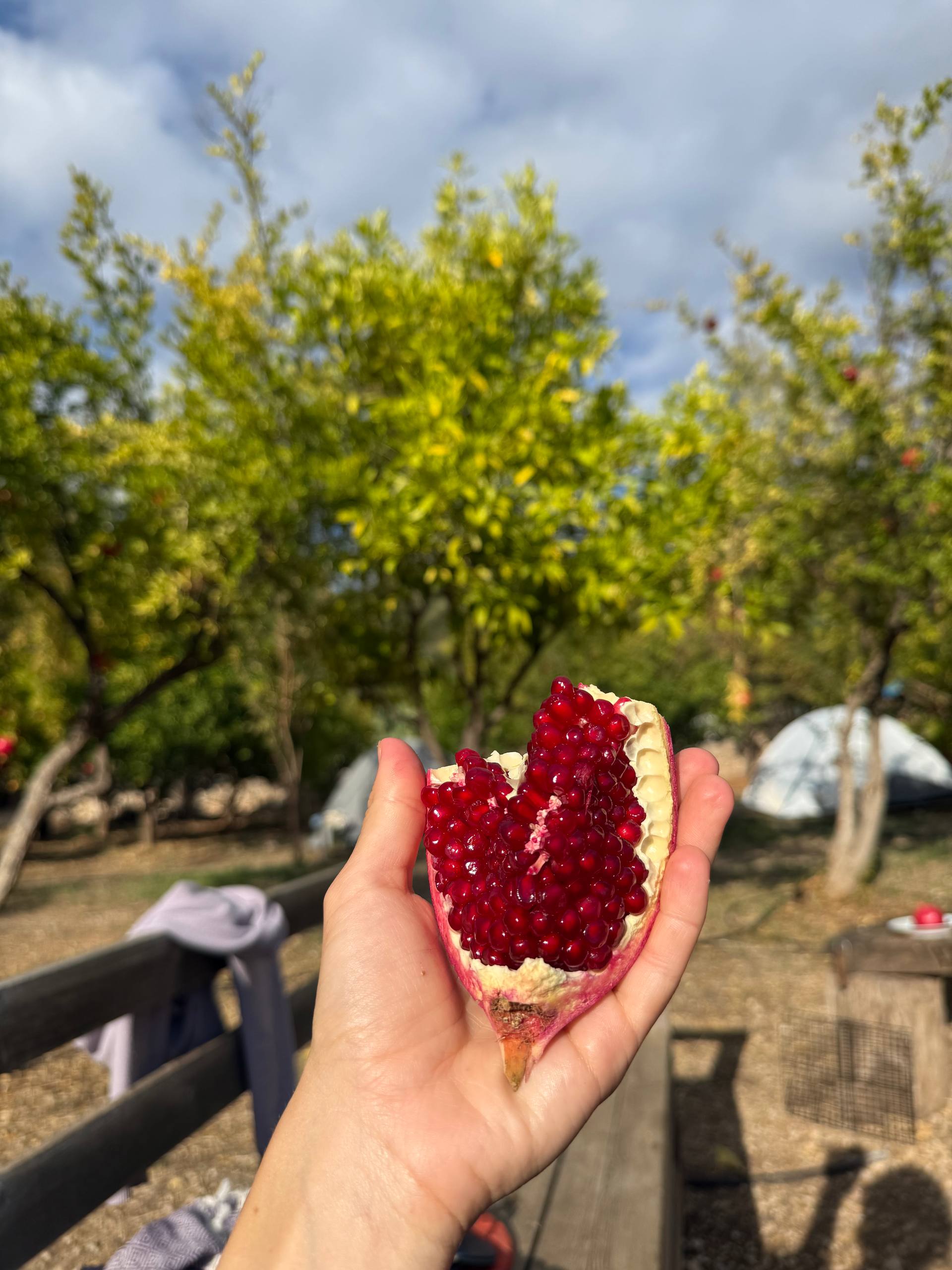 Активная Турция  Ликийская тропа (14/35)