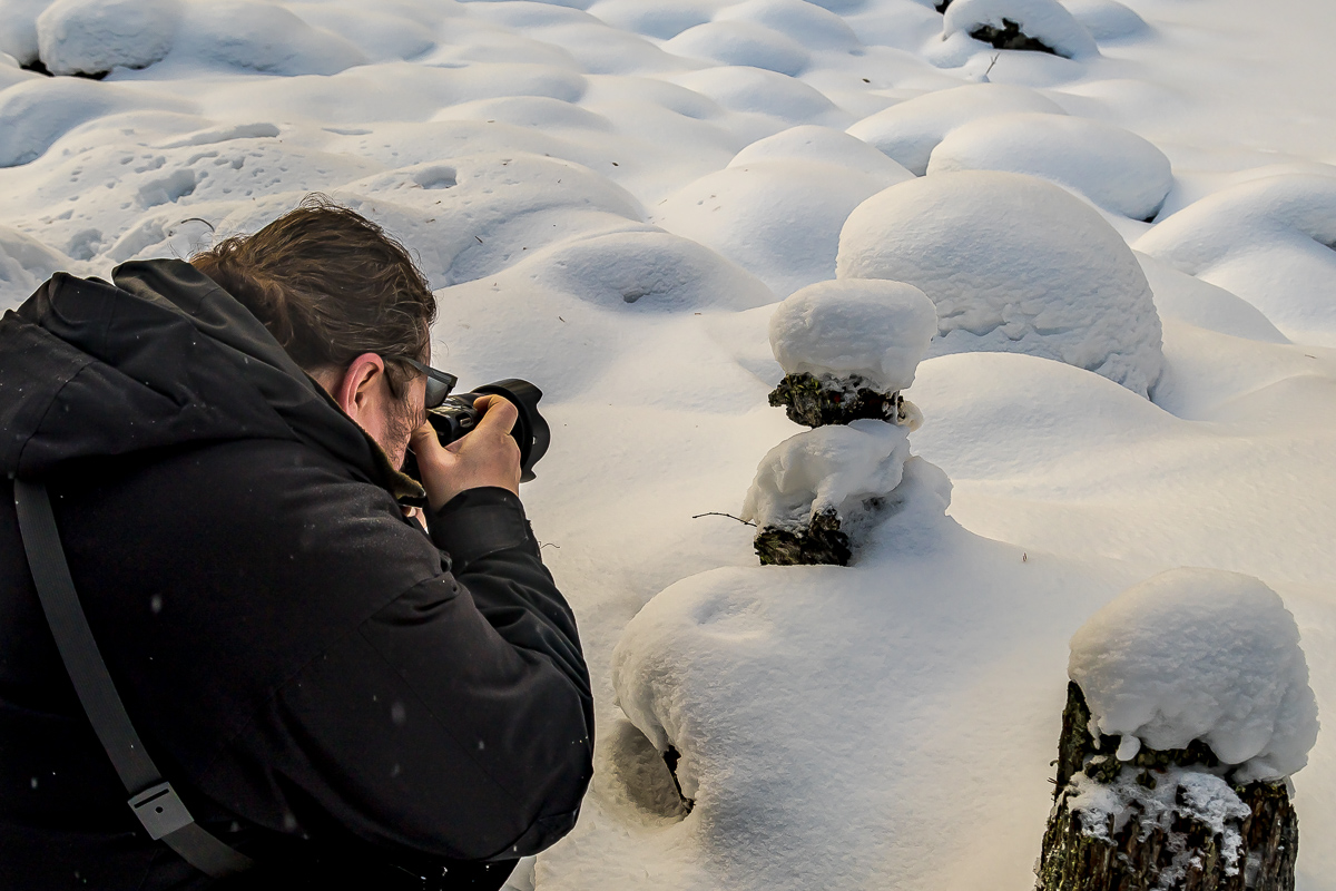 Времена года. Зимняя Карелия с фотографом. Путешествие на другую планету (21/102)