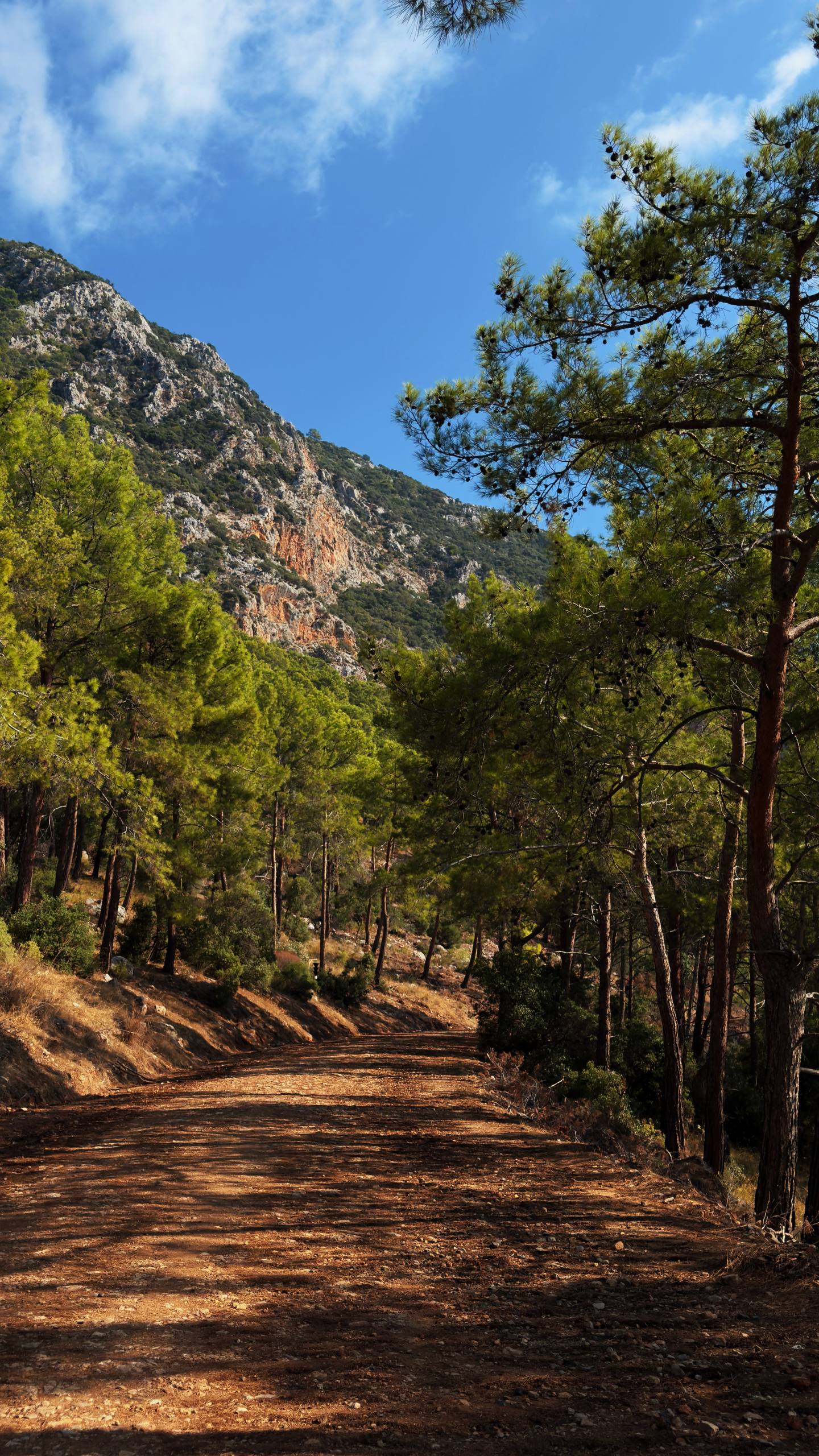 Активная Турция  Ликийская тропа (7/35)