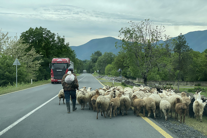 Винный тур в Мейсери: сыры, природа и, разумеется, вино (29/29)