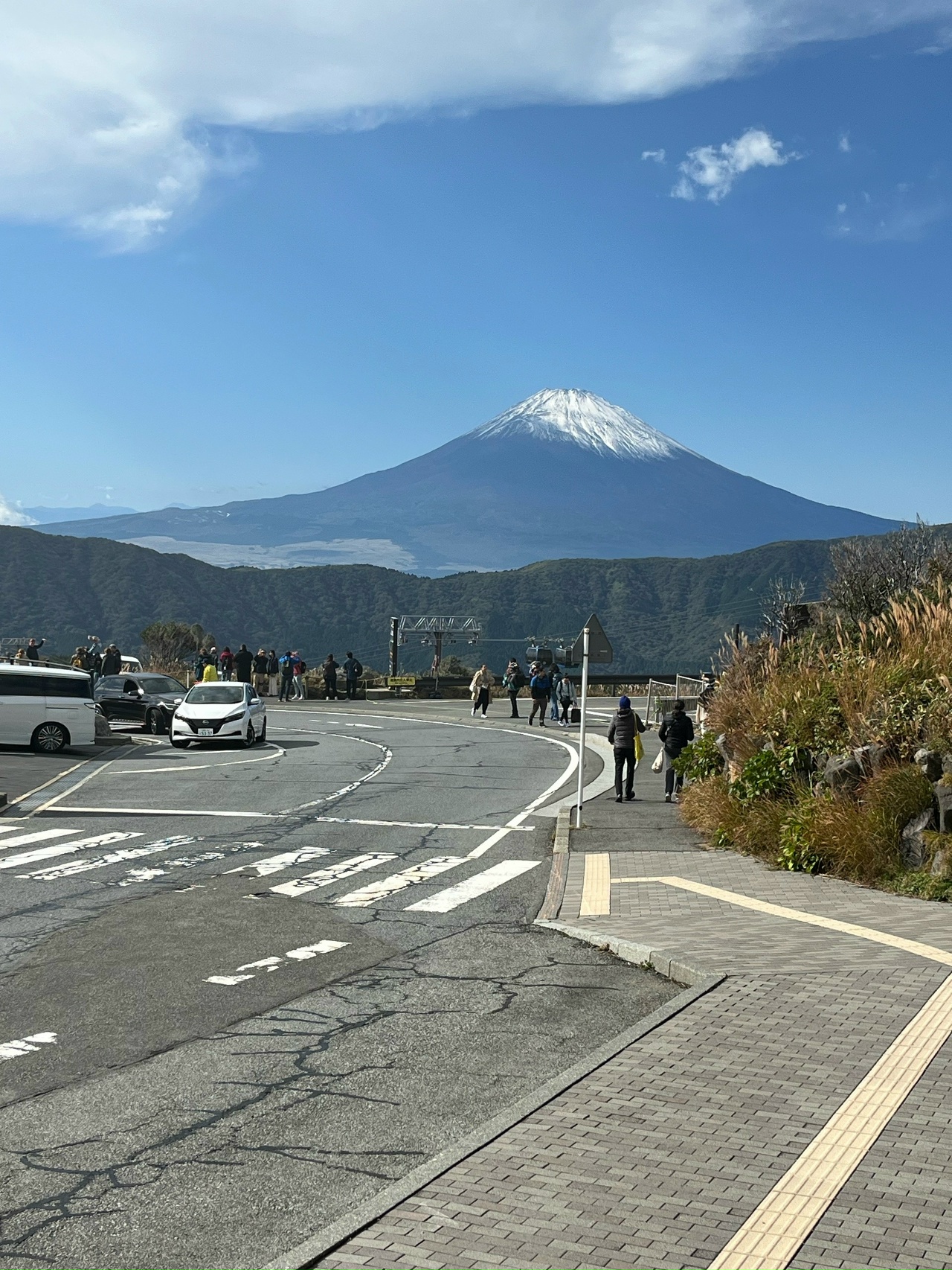 Япония: цветение сакуры (11/17)