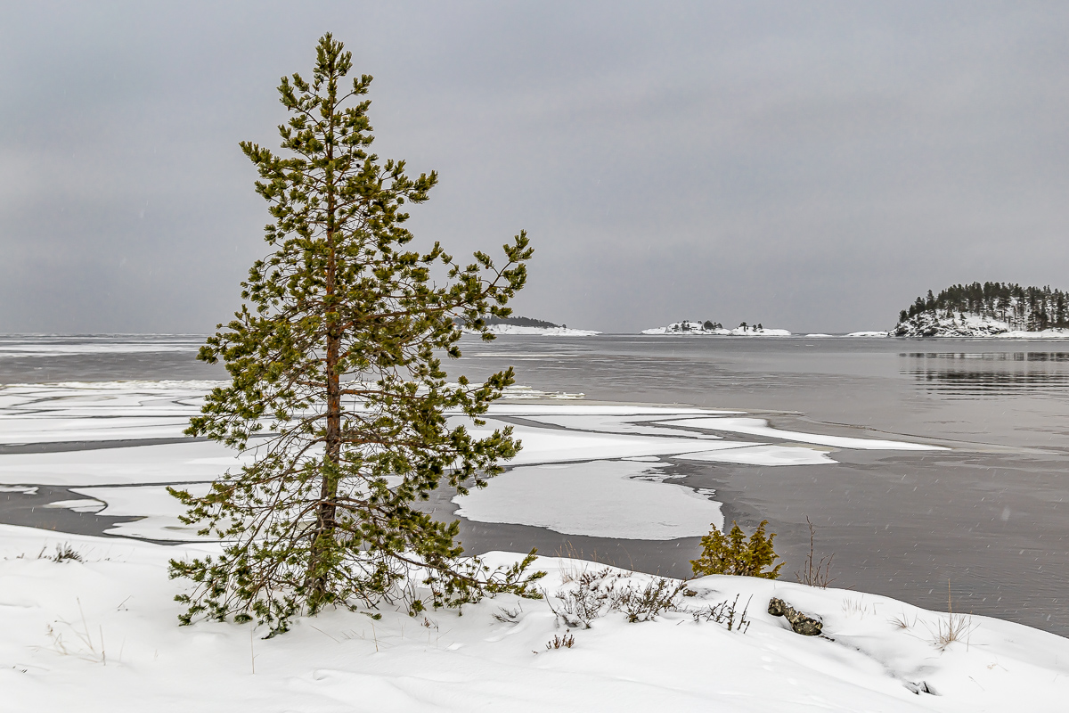 Времена года. Зимняя Карелия с фотографом. Путешествие на другую планету (57/102)