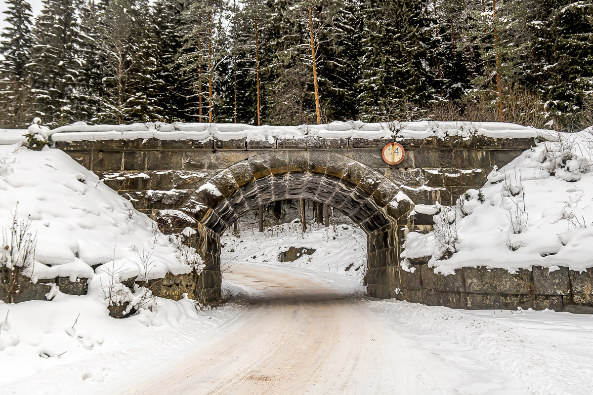Времена года. Зимняя Карелия с фотографом. Путешествие на другую планету (36/102)