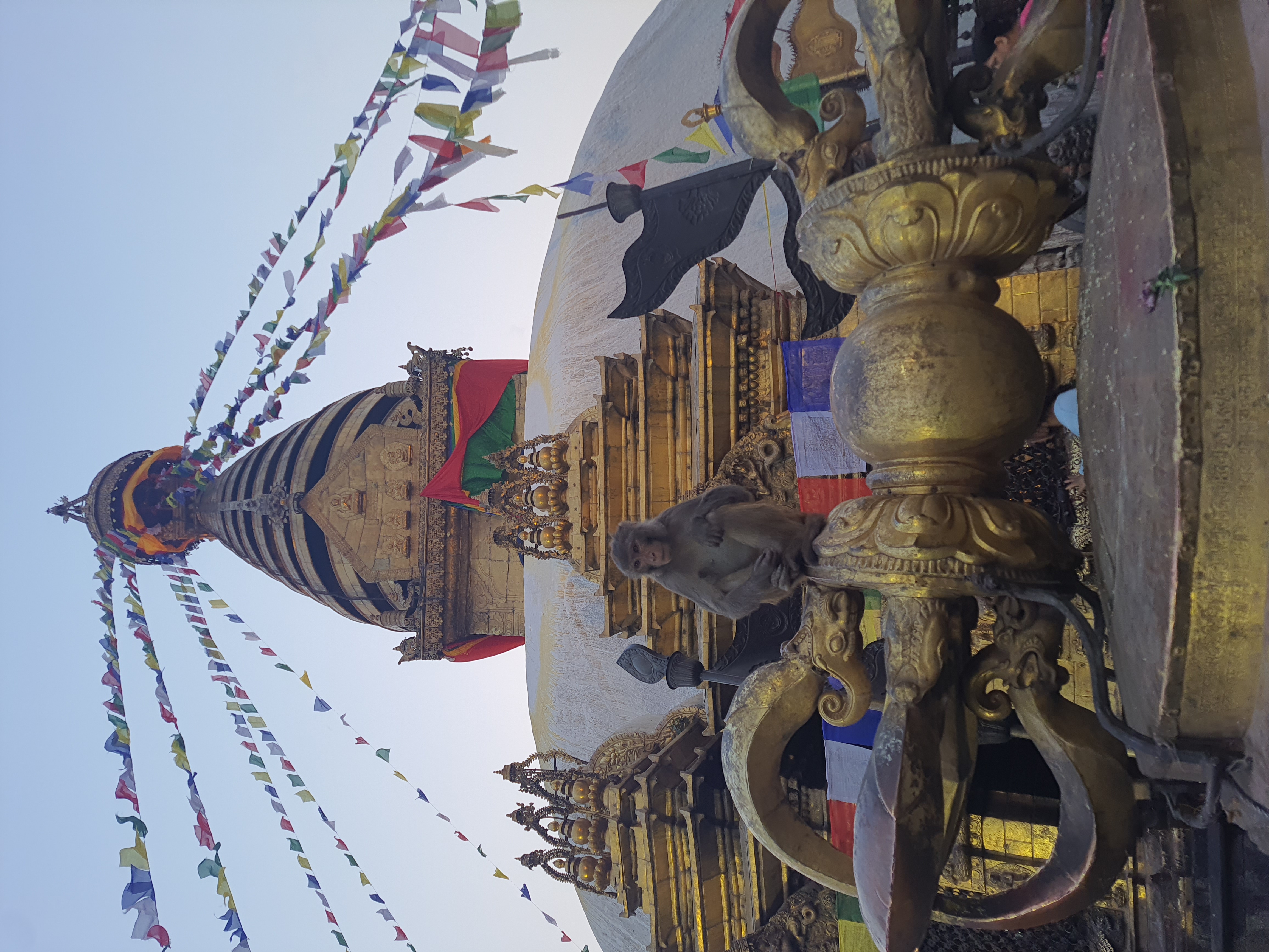 Мустанг: тур-инициация в тайны и магию запретного королевства Ло (3/59)