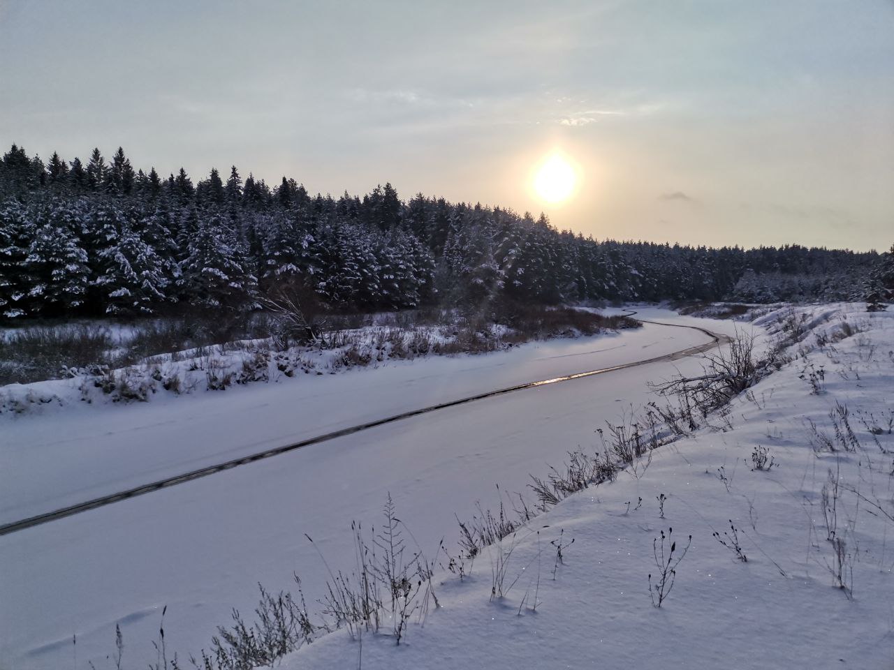 Замытье. Вдоль реки Медведицы на лыжах. (4/26)