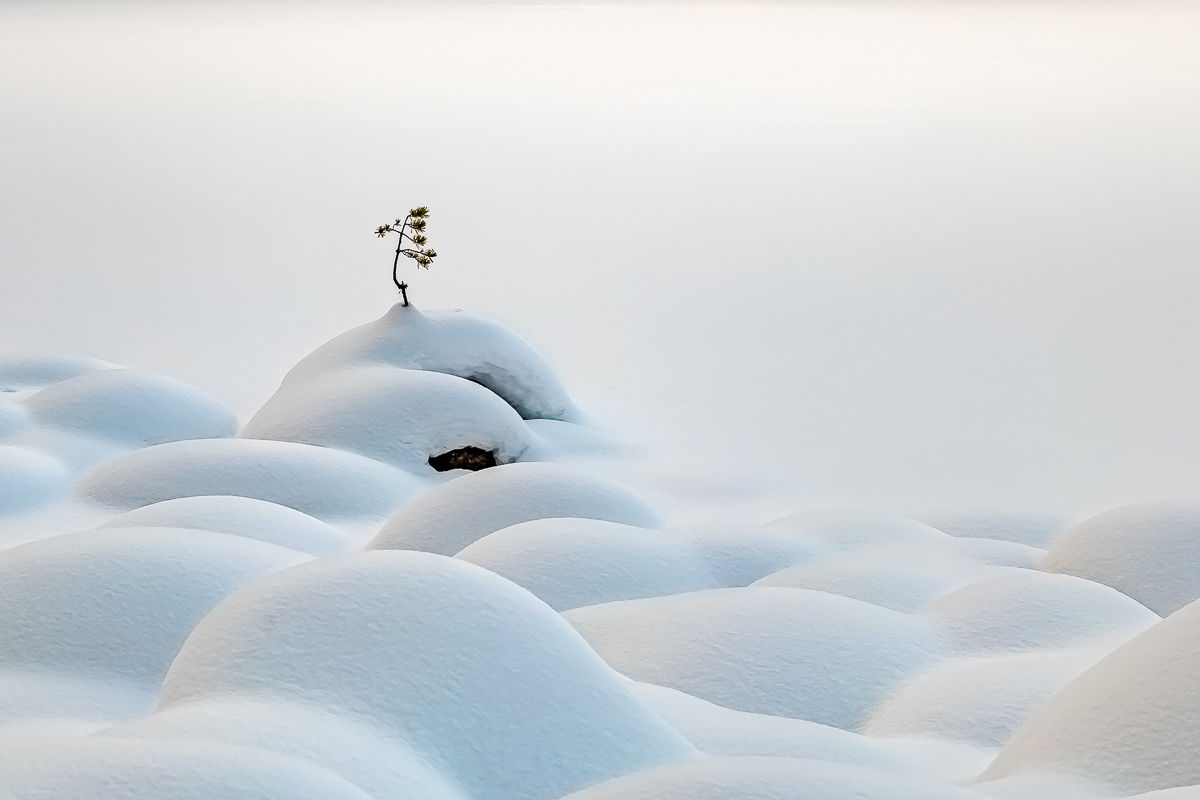 Времена года. Зимняя Карелия с фотографом. Путешествие на другую планету (18/102)