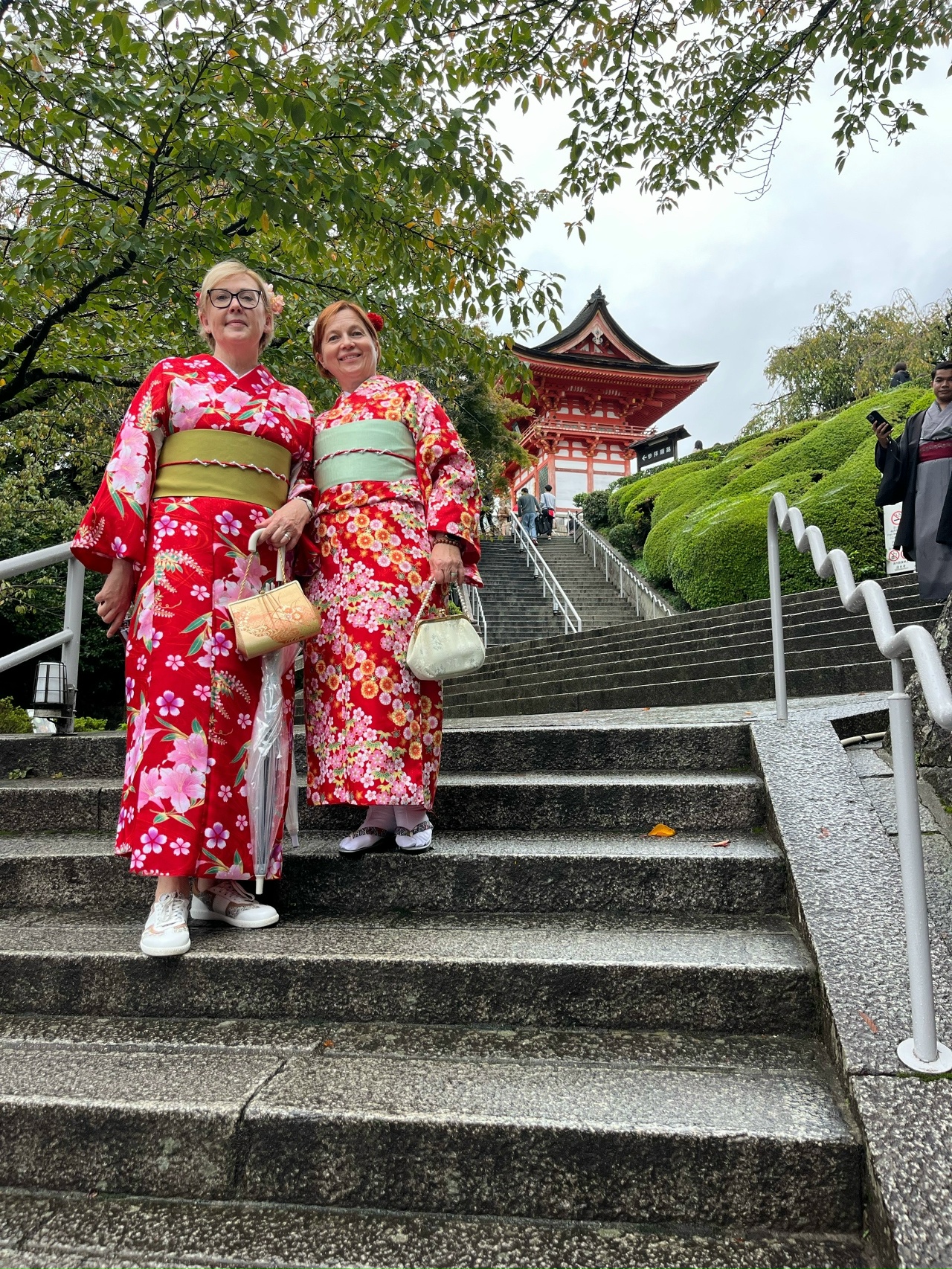 Япония: цветение сакуры (2/17)