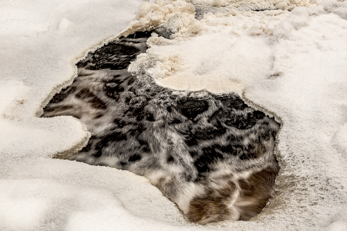 Времена года. Зимняя Карелия с фотографом. Путешествие на другую планету (47/102)