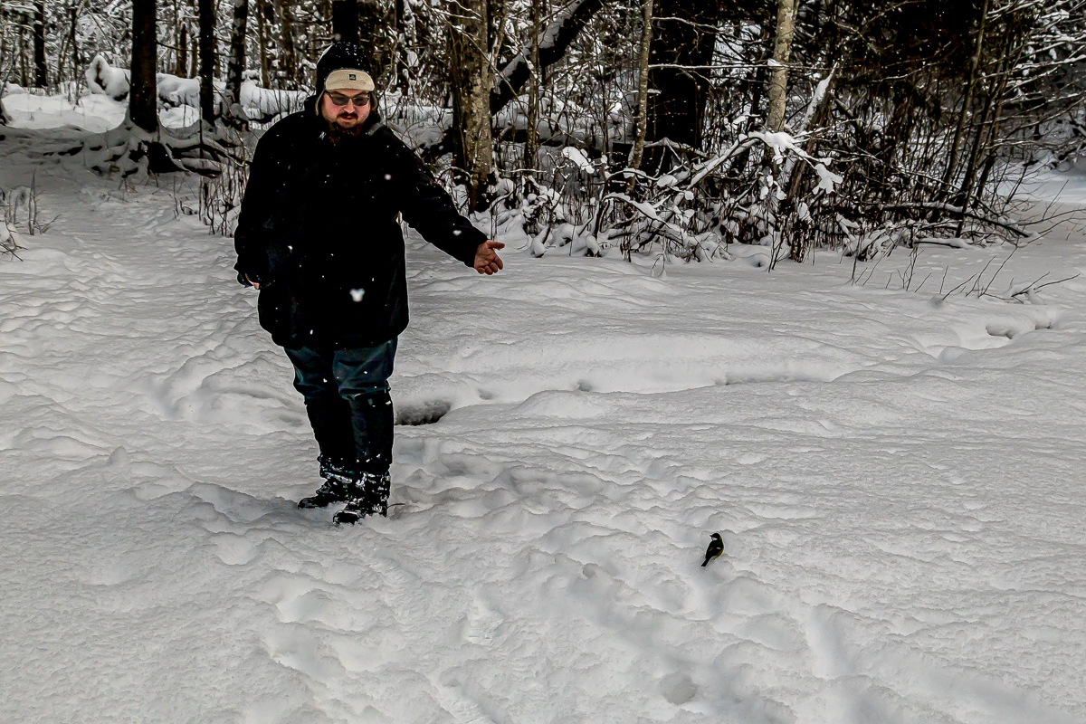 Времена года. Зимняя Карелия с фотографом. Путешествие на другую планету (46/102)