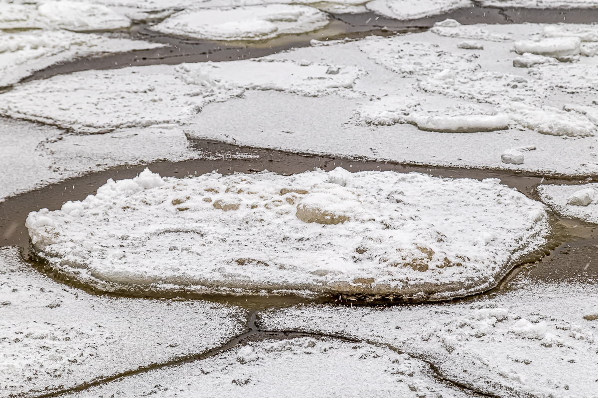 Времена года. Зимняя Карелия с фотографом. Путешествие на другую планету (61/102)