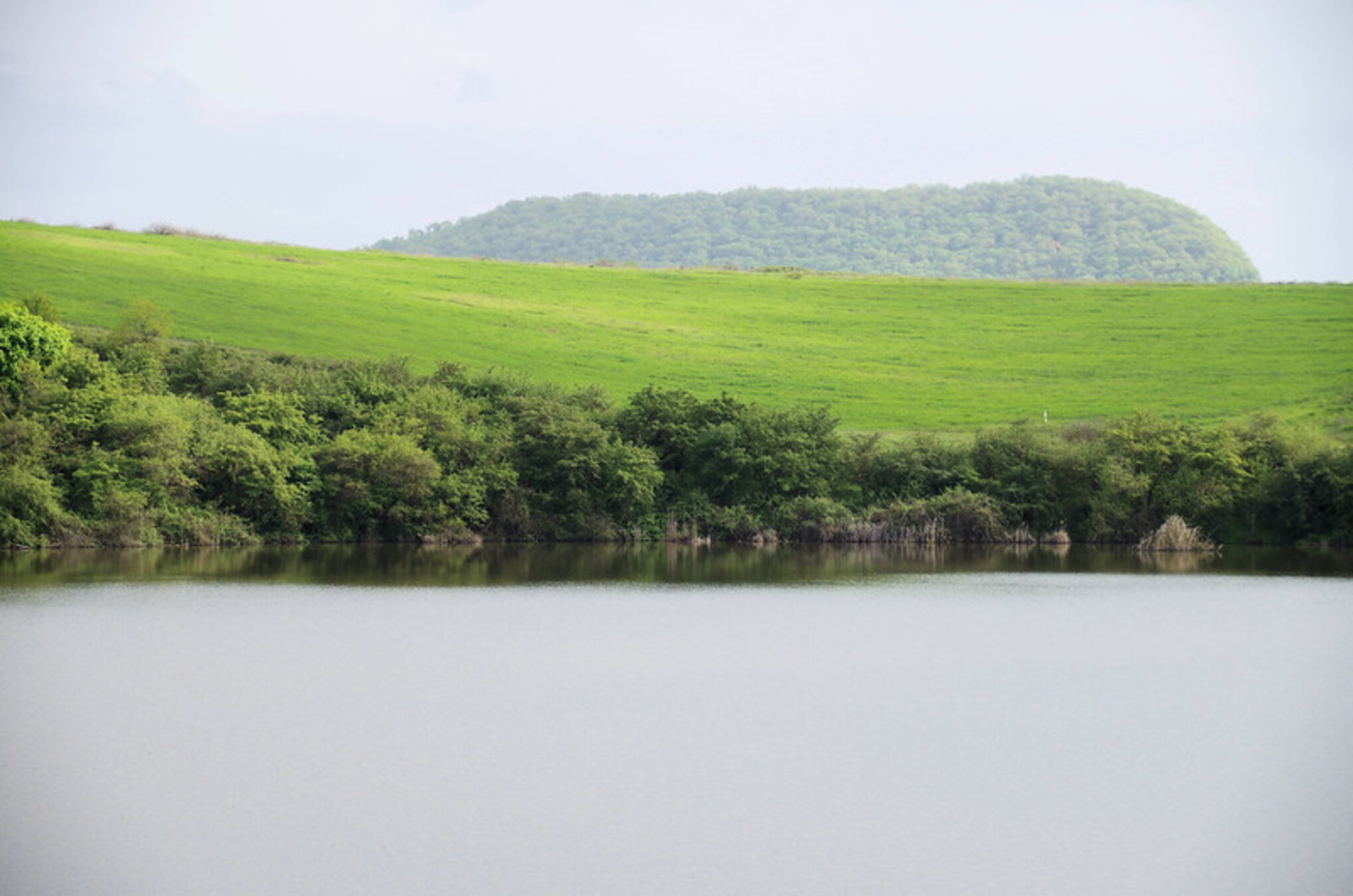 Винный тур в Мейсери: сыры, природа и, разумеется, вино (4/29)