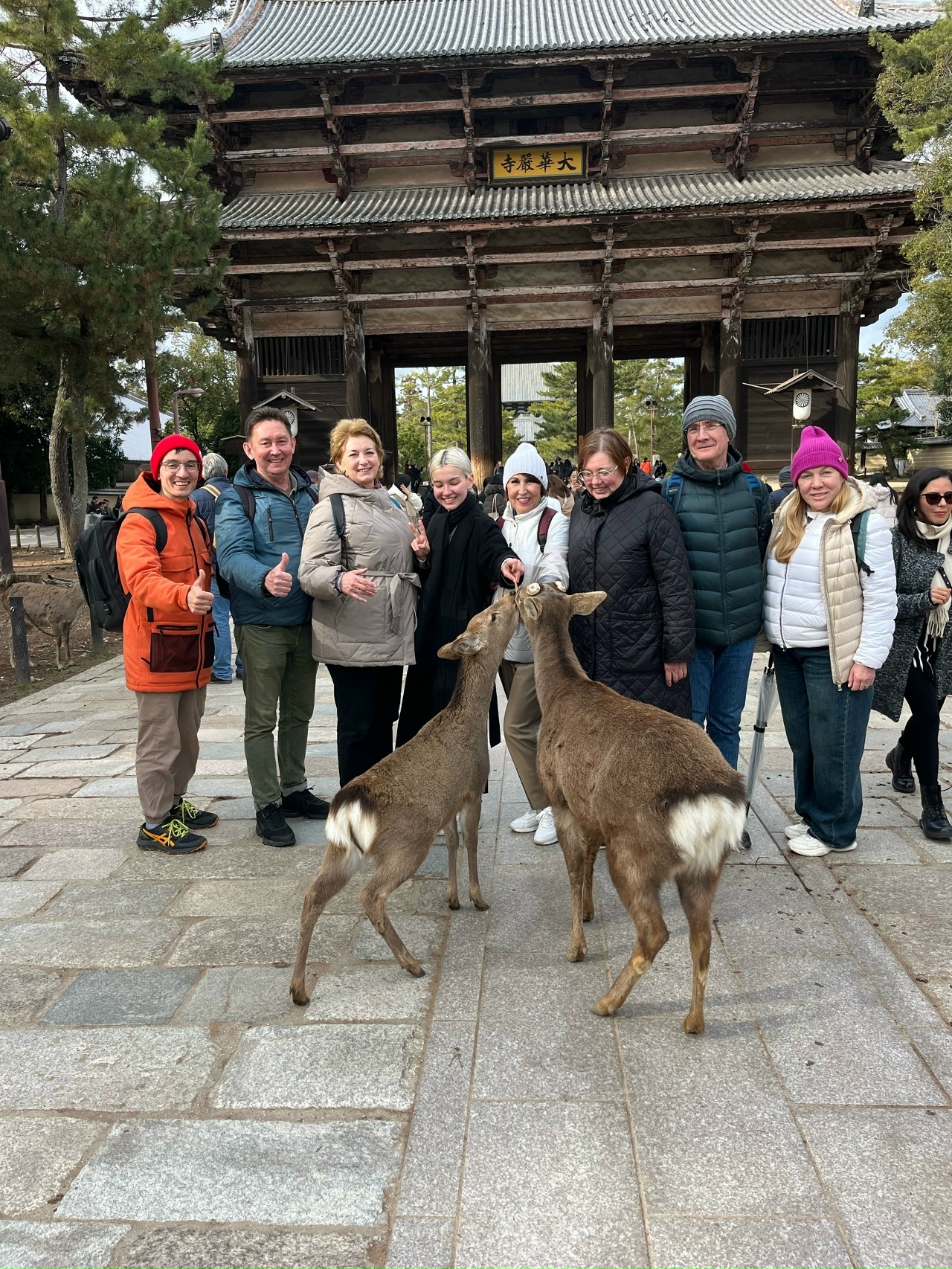 Япония: цветение сакуры (13/17)