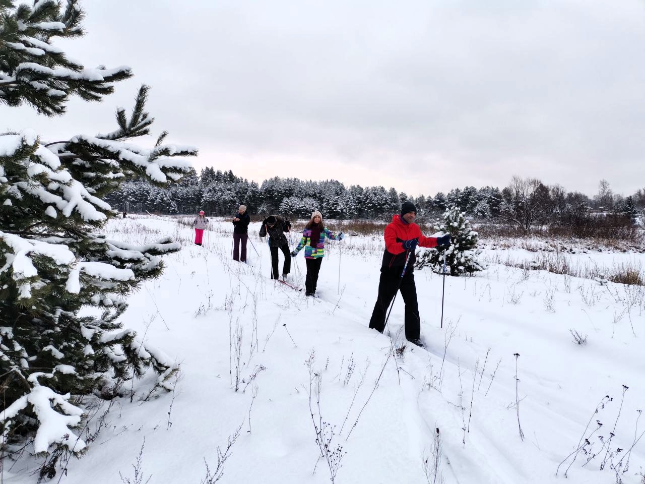 Замытье. Вдоль реки Медведицы на лыжах.