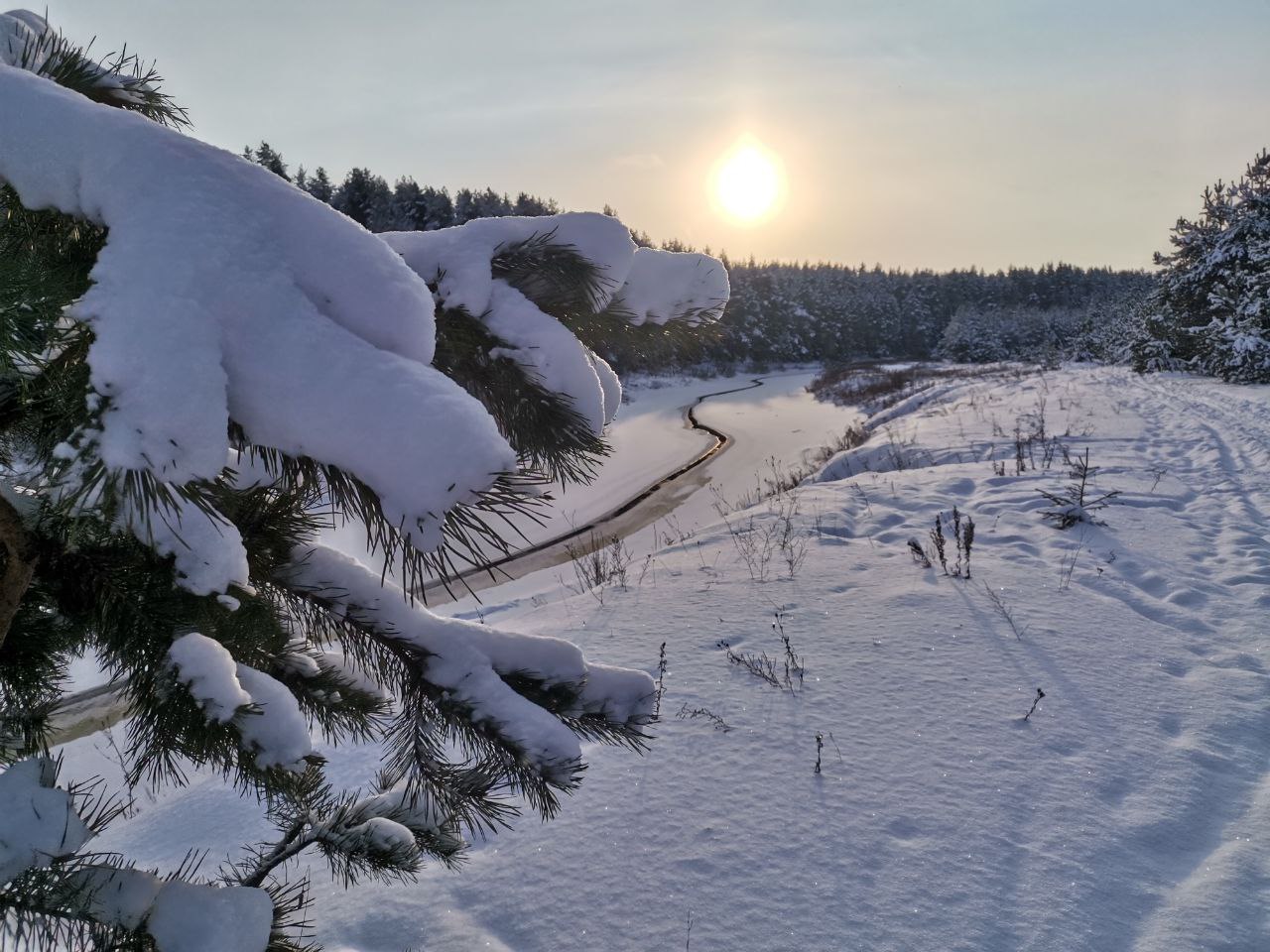 Замытье. Вдоль реки Медведицы на лыжах. (2/26)