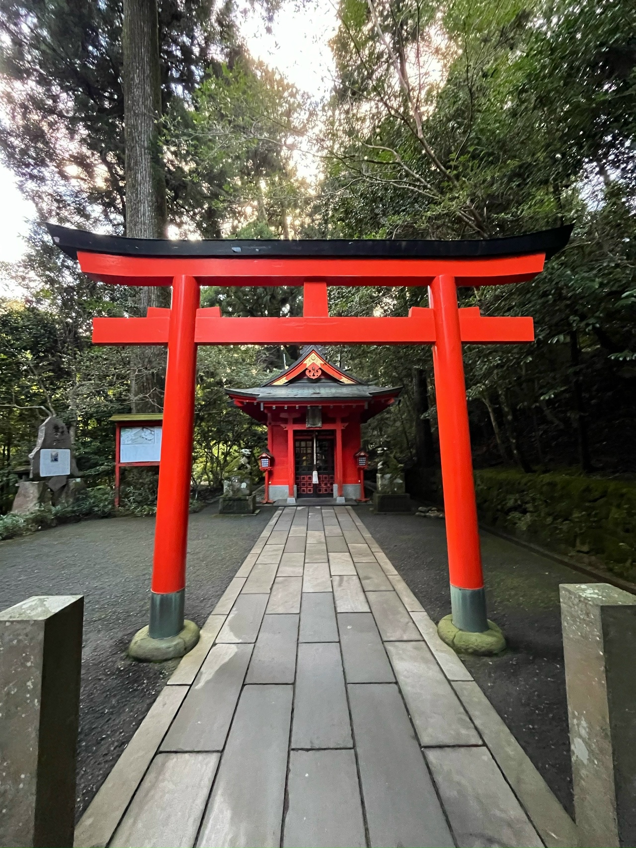 Япония: цветение сакуры (10/17)