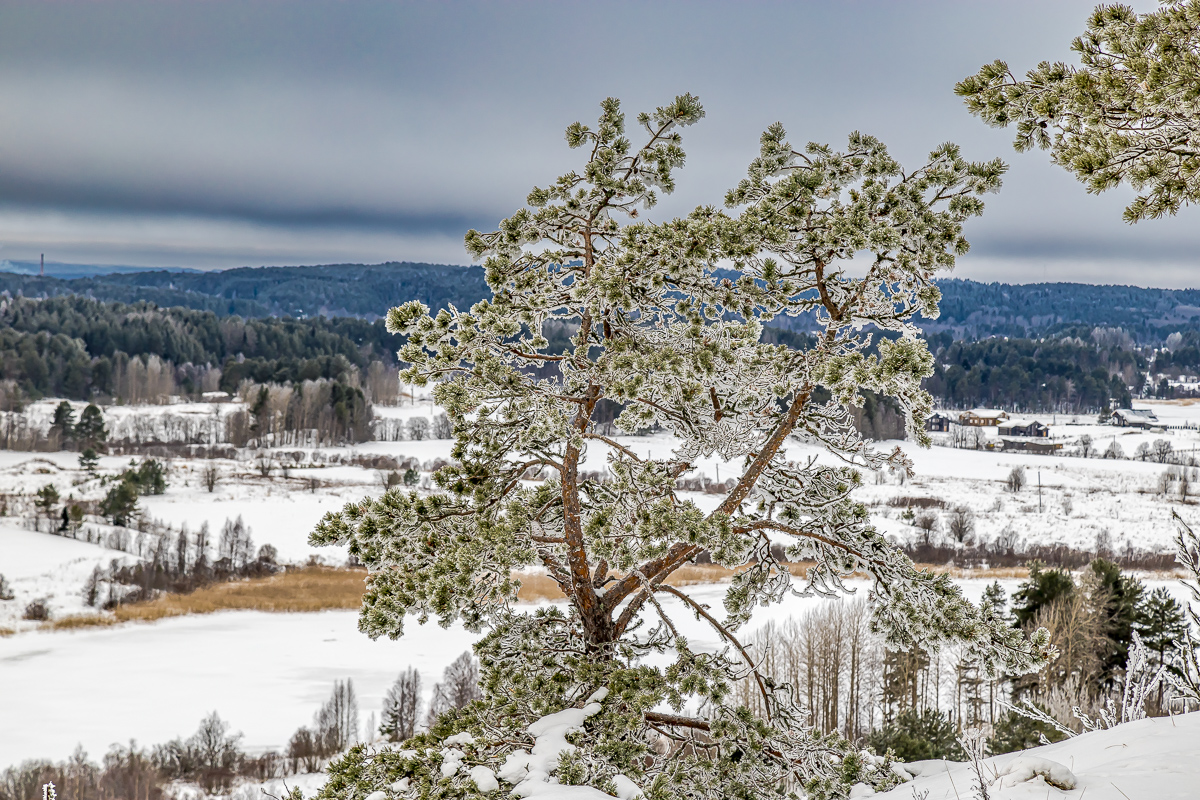 Времена года. Зимняя Карелия с фотографом. Путешествие на другую планету (41/102)