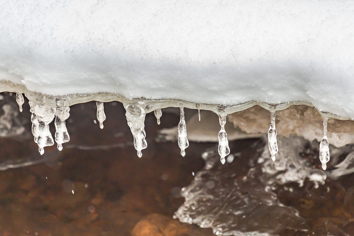 Времена года. Зимняя Карелия с фотографом. Путешествие на другую планету (9/102)