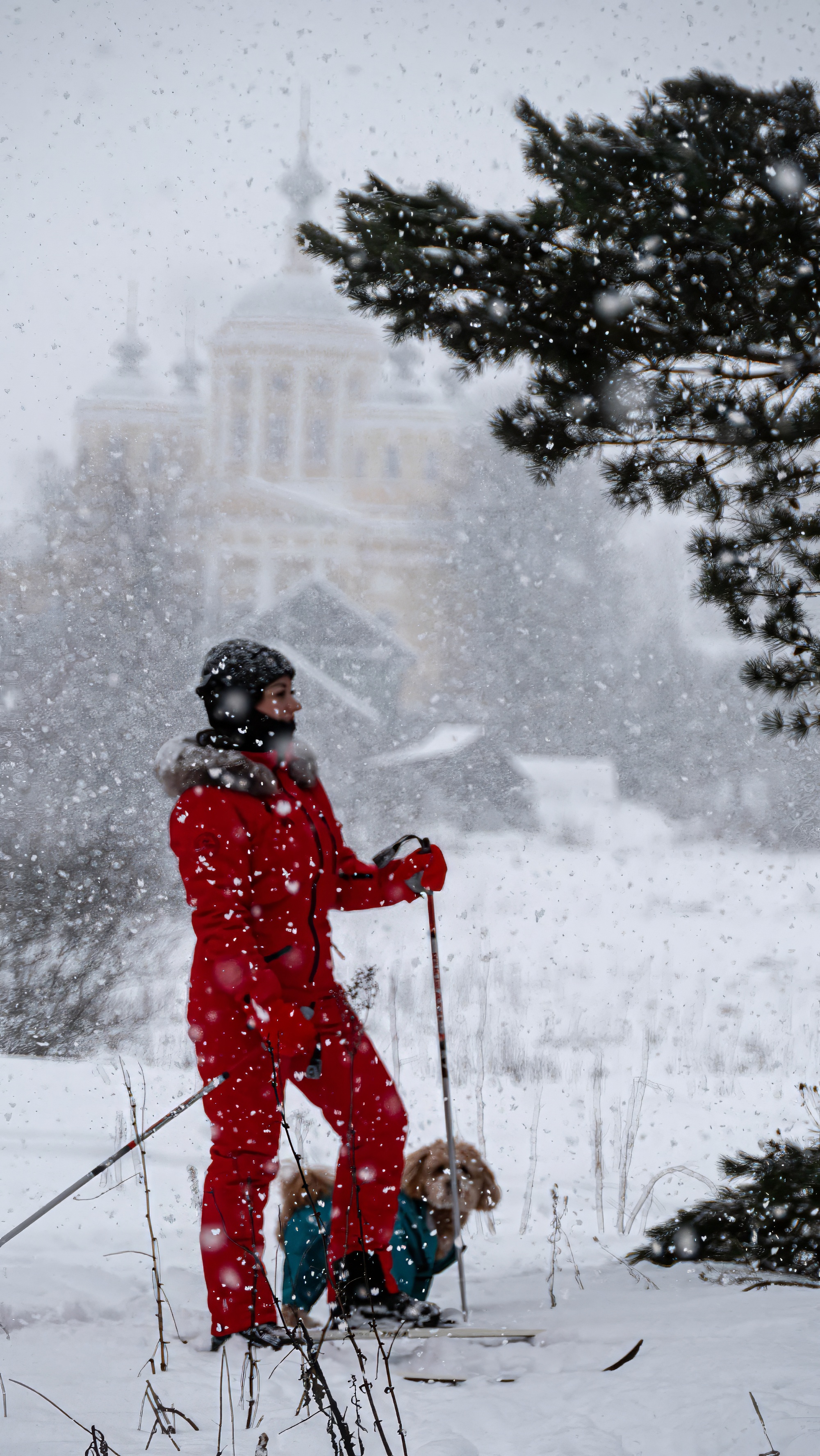 Замытье. Вдоль реки Медведицы на лыжах. (17/26)