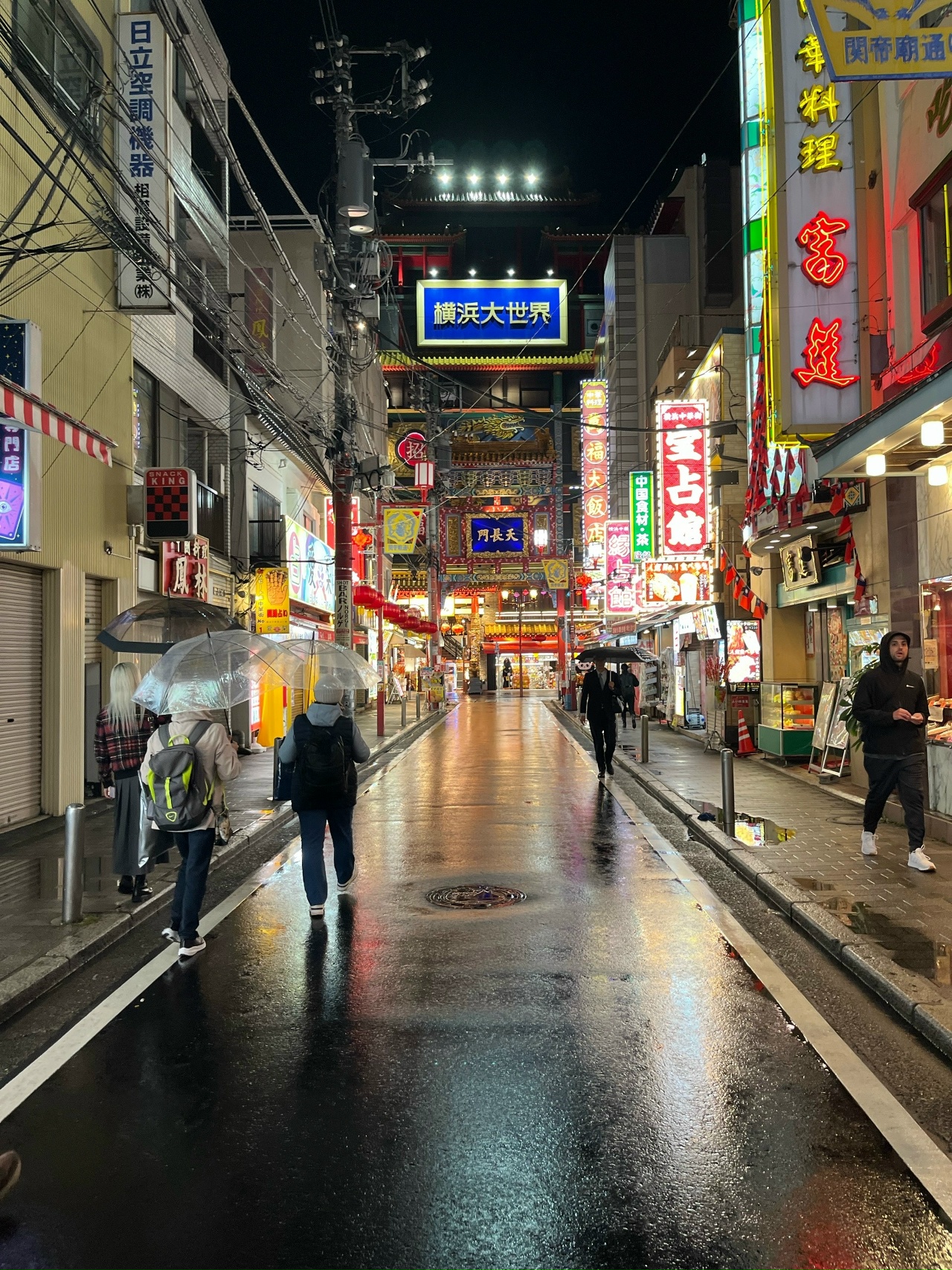 Япония: цветение сакуры (8/17)