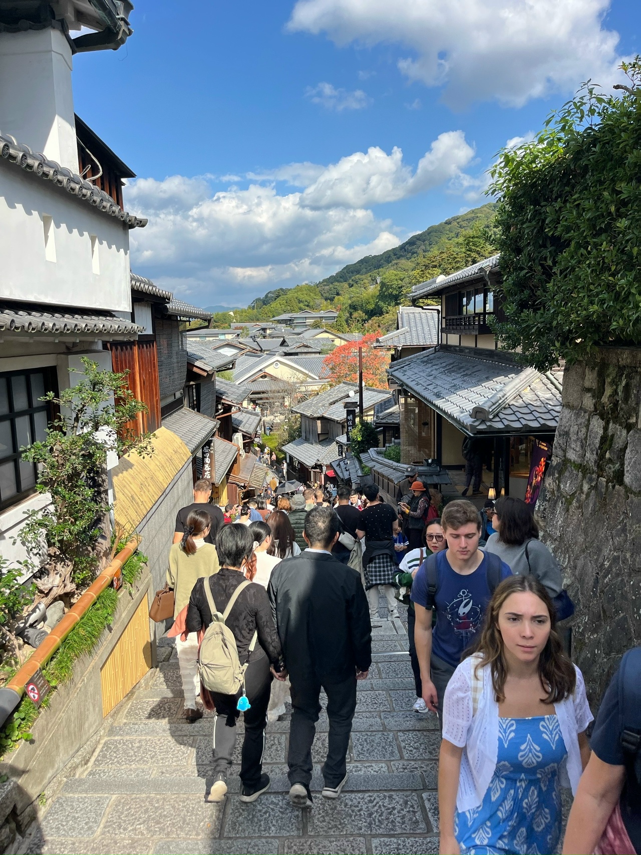 Япония: цветение сакуры (14/17)