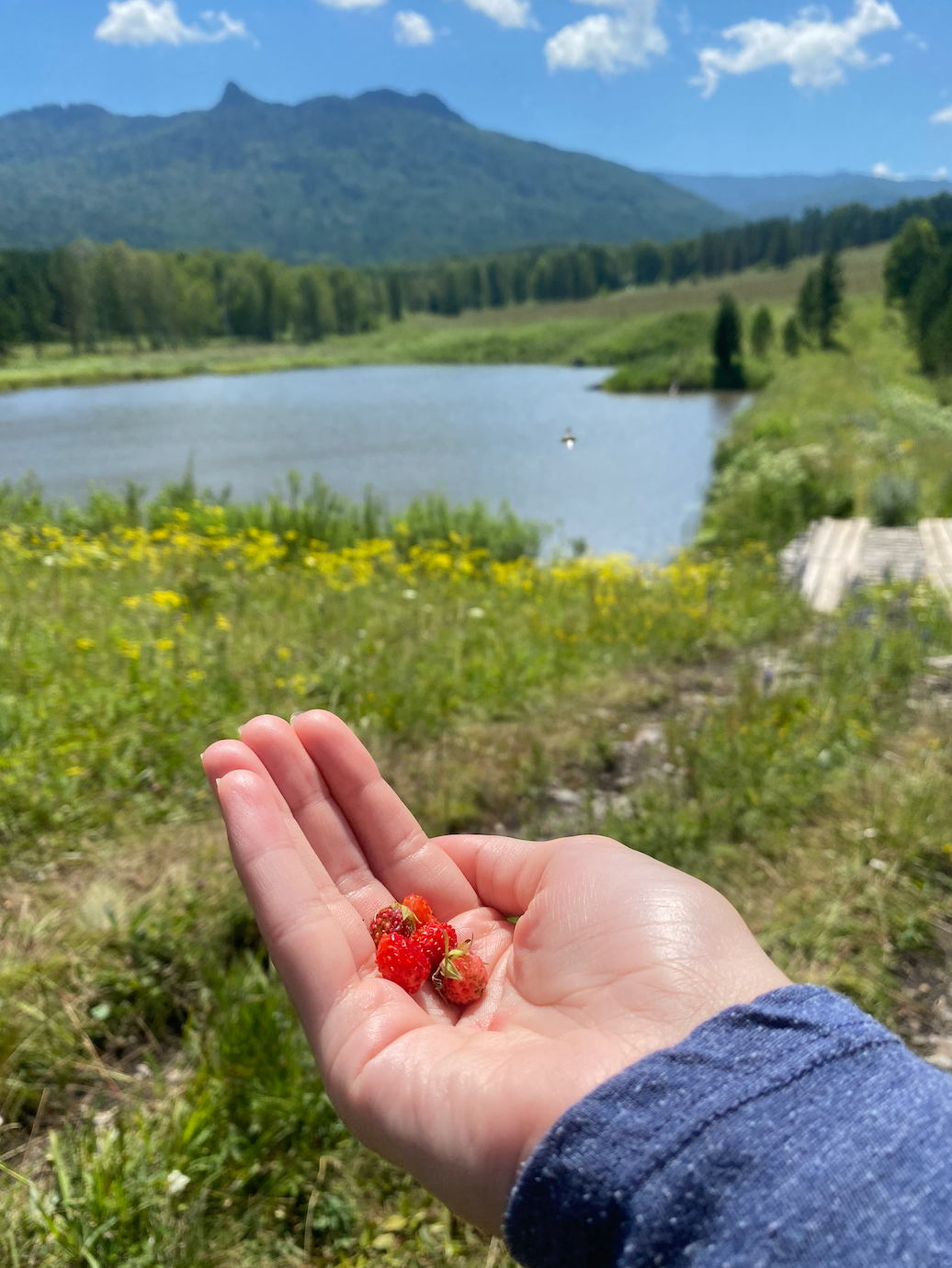 Тур на Алтай — 5 дней всё включено! (7/36)