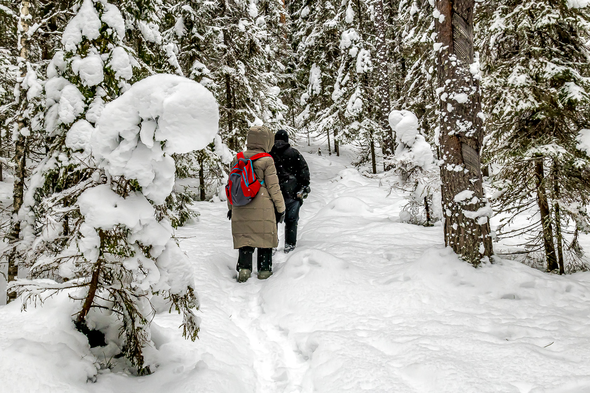 Времена года. Зимняя Карелия с фотографом. Путешествие на другую планету (49/102)