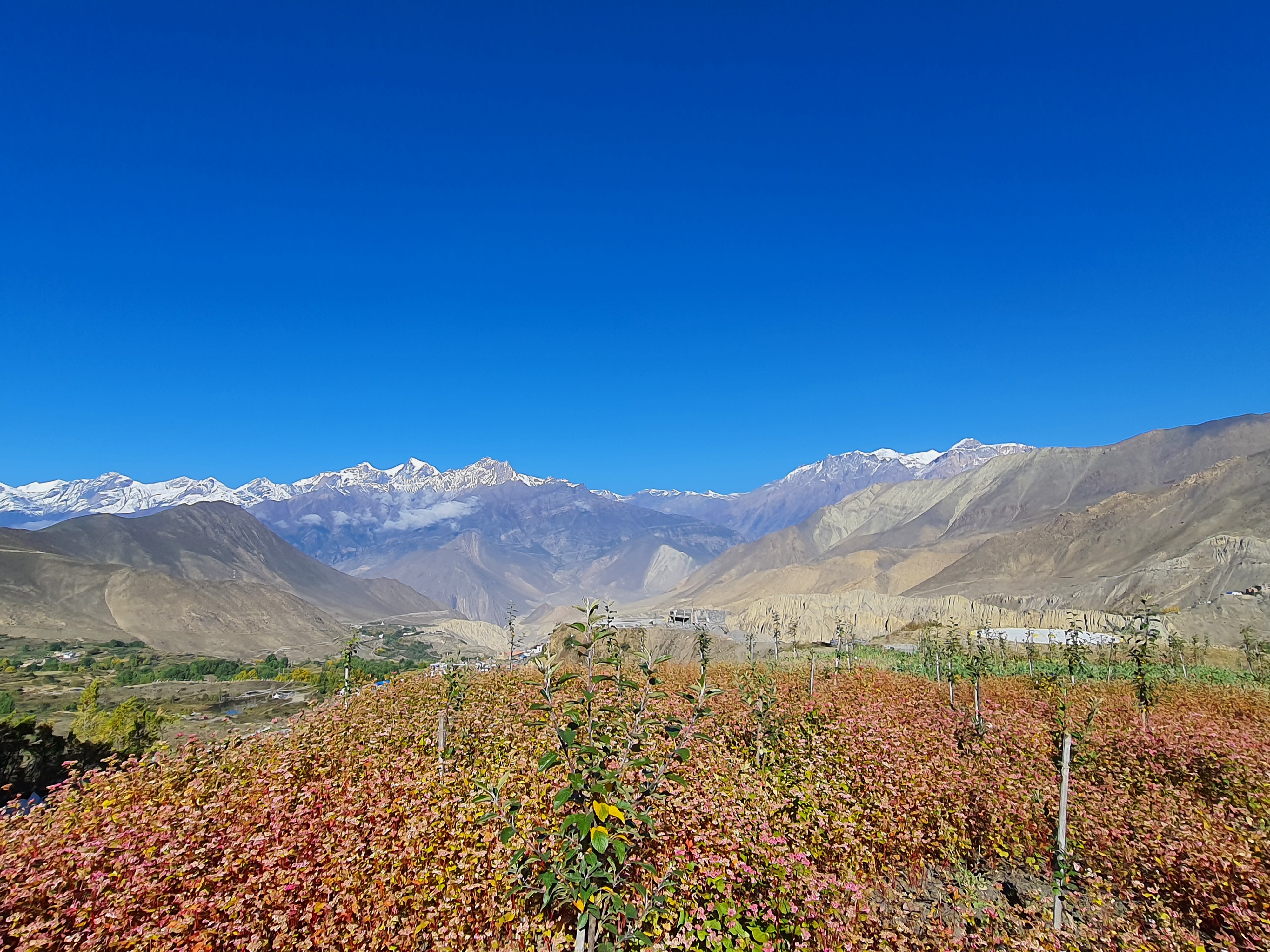 Мустанг: тур-инициация в тайны и магию запретного королевства Ло (15/59)