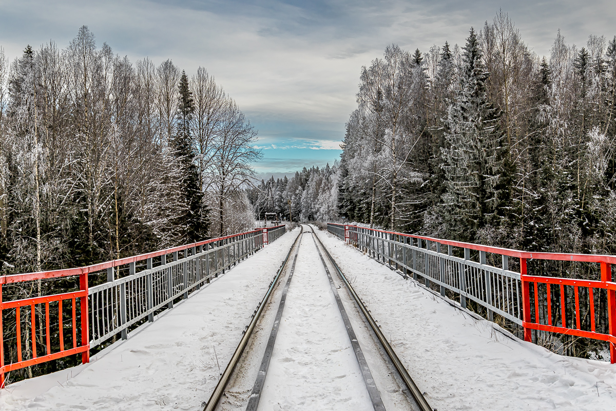 Времена года. Зимняя Карелия с фотографом. Путешествие на другую планету (31/102)