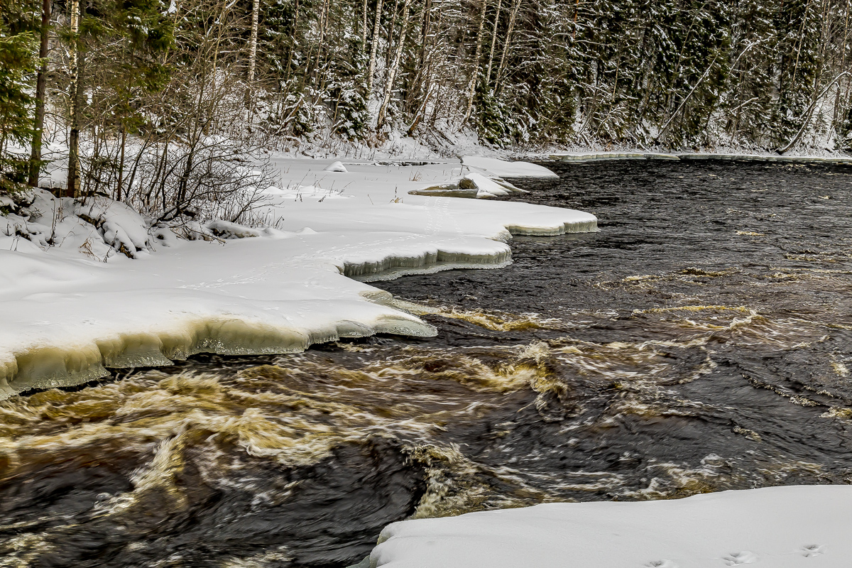 Времена года. Зимняя Карелия с фотографом. Путешествие на другую планету (28/102)