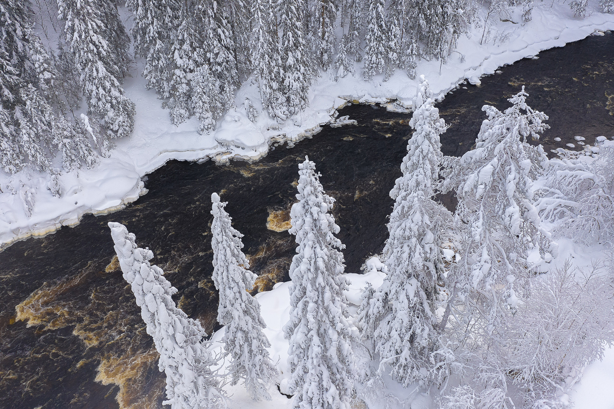 Времена года. Зимняя Карелия с фотографом. Путешествие на другую планету (77/102)