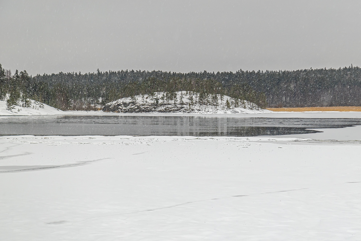 Времена года. Зимняя Карелия с фотографом. Путешествие на другую планету (54/102)