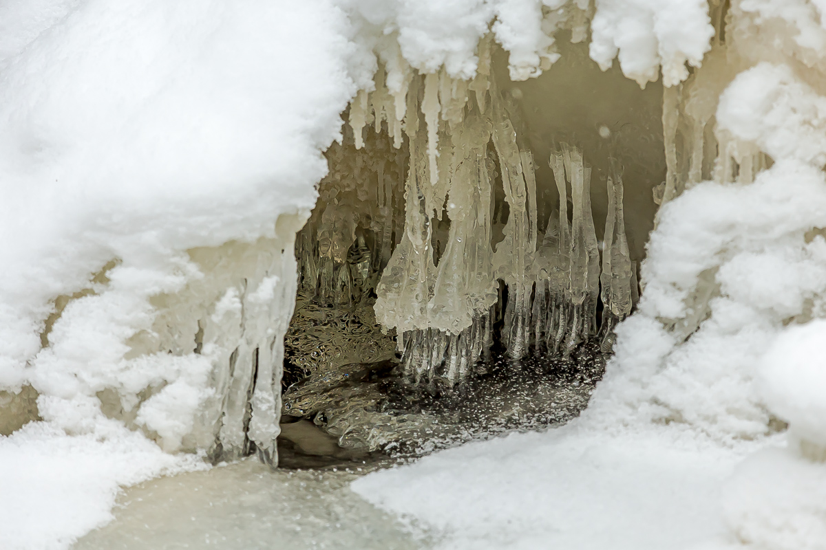 Времена года. Зимняя Карелия с фотографом. Путешествие на другую планету (11/102)